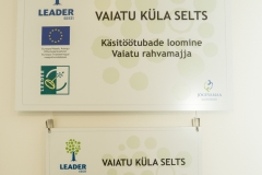 Vaiatu-kasitootuba-26-of-30